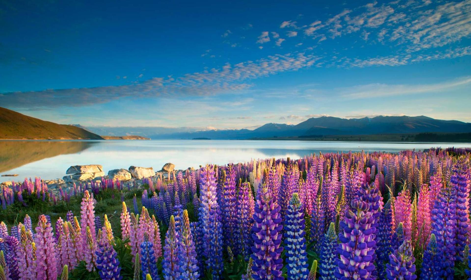 Tekapo1929 Lakefront Villa 레이크 테카포 외부 사진
