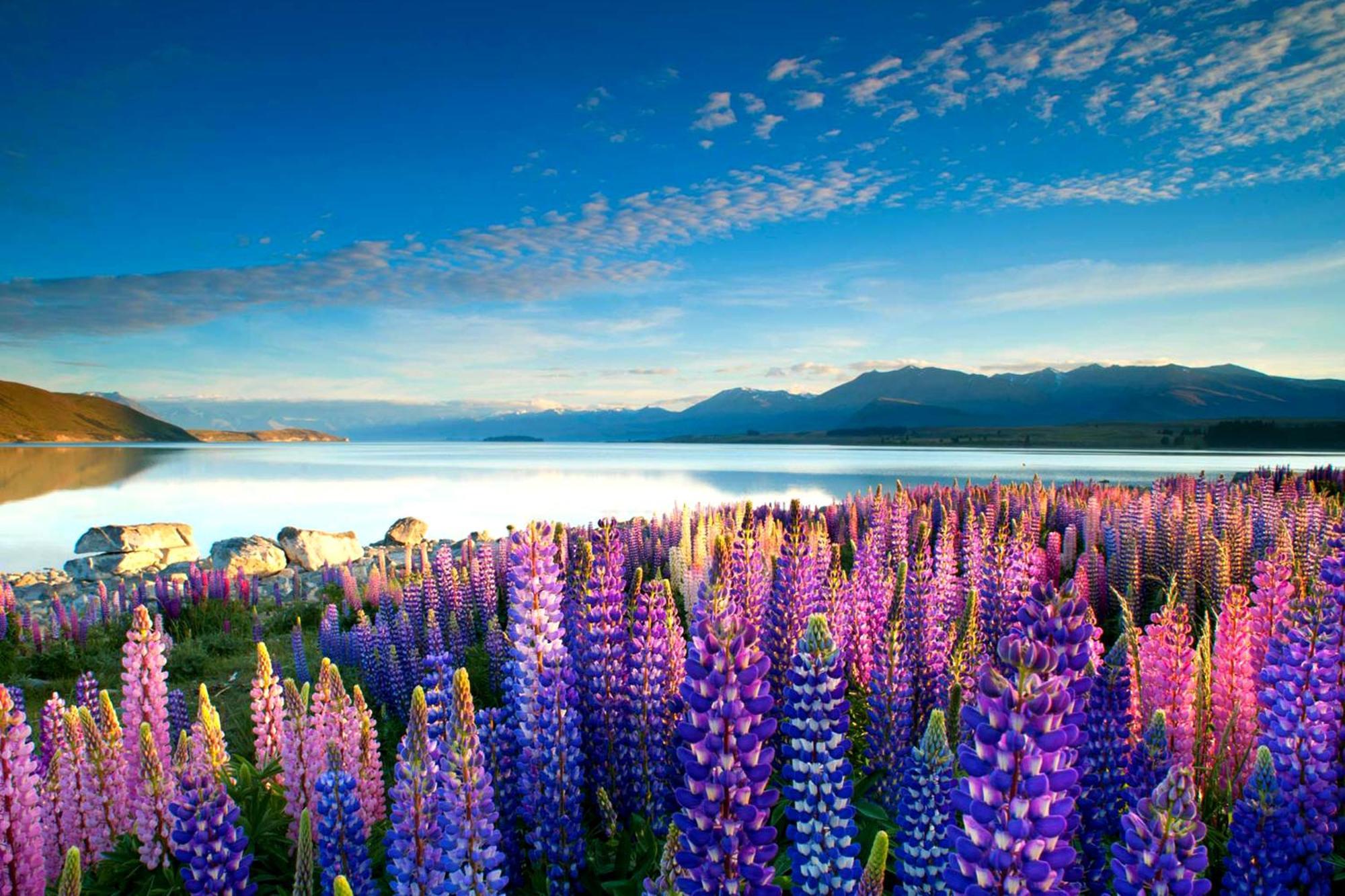 Tekapo1929 Lakefront Villa 레이크 테카포 외부 사진